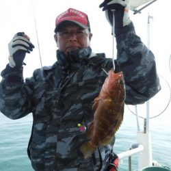 遊漁船 幸友丸 釣果