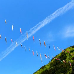 小菅トラウトガーデン 釣果