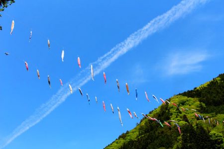 小菅トラウトガーデン 釣果