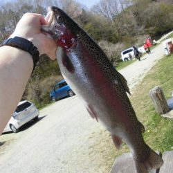 高萩ふれあいの里フィッシングエリア 釣果
