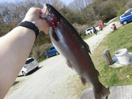 高萩ふれあいの里フィッシングエリア 釣果