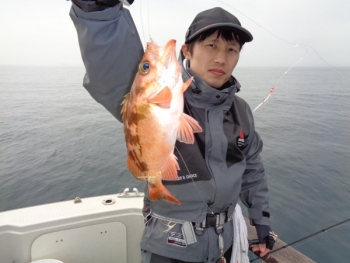 鯛紅丸 釣果