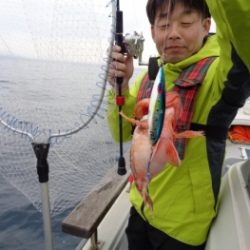 鯛紅丸 釣果
