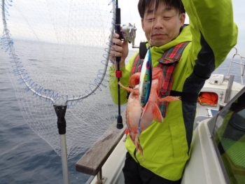 鯛紅丸 釣果