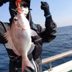 鯛紅丸 釣果