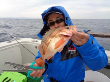 鯛紅丸 釣果