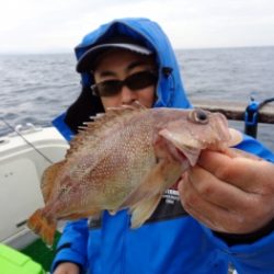 鯛紅丸 釣果