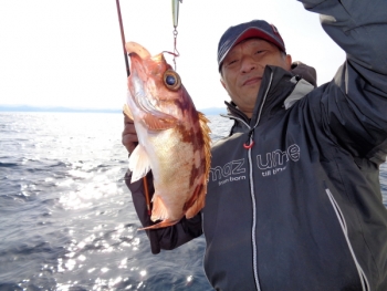 鯛紅丸 釣果