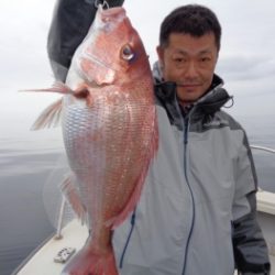 鯛紅丸 釣果
