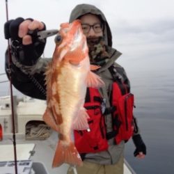 鯛紅丸 釣果