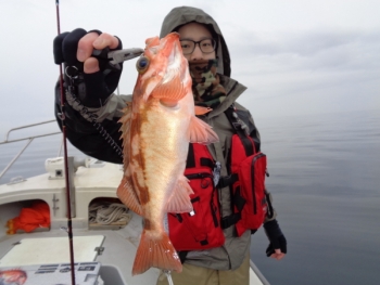 鯛紅丸 釣果