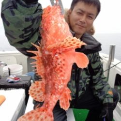 鯛紅丸 釣果