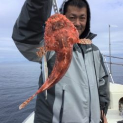 鯛紅丸 釣果