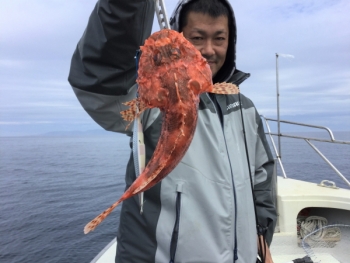 鯛紅丸 釣果