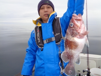 鯛紅丸 釣果