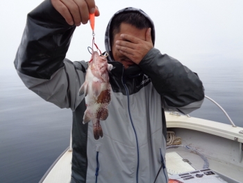 鯛紅丸 釣果