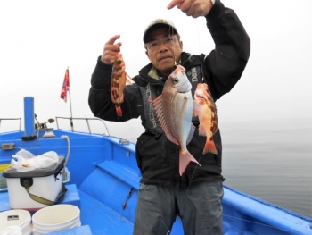 鯛紅丸 釣果