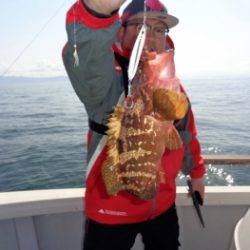 鯛紅丸 釣果