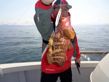 鯛紅丸 釣果