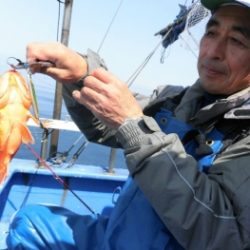 鯛紅丸 釣果