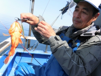 鯛紅丸 釣果