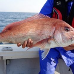 鯛紅丸 釣果