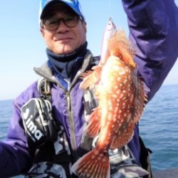 鯛紅丸 釣果