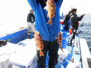 鯛紅丸 釣果