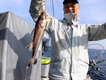 鯛紅丸 釣果