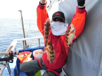 鯛紅丸 釣果