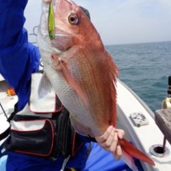鯛紅丸 釣果
