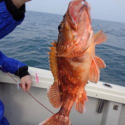 鯛紅丸 釣果