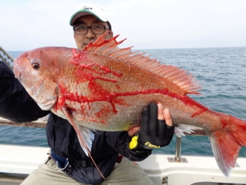 鯛紅丸 釣果