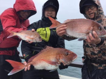 鯛紅丸 釣果