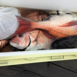鯛紅丸 釣果
