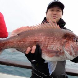 鯛紅丸 釣果