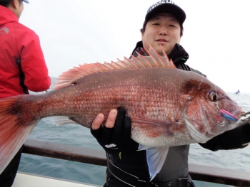 鯛紅丸 釣果