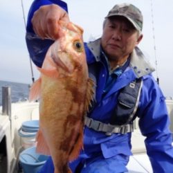 鯛紅丸 釣果