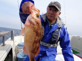 鯛紅丸 釣果