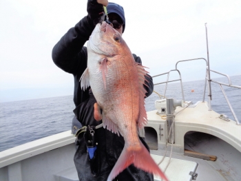 鯛紅丸 釣果