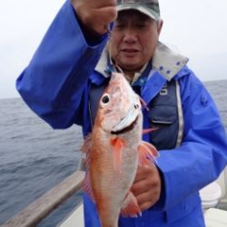 鯛紅丸 釣果