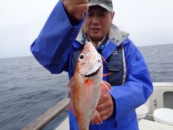 鯛紅丸 釣果