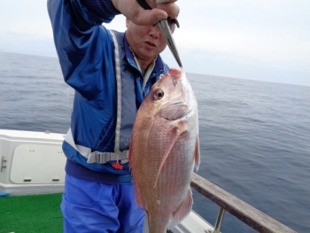 鯛紅丸 釣果