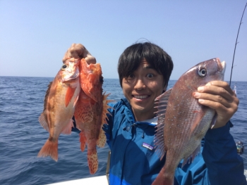 鯛紅丸 釣果