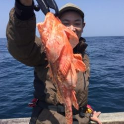 鯛紅丸 釣果
