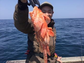 鯛紅丸 釣果