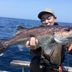 鯛紅丸 釣果