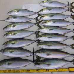 Hit Rush(ヒット ラッシュ) 釣果