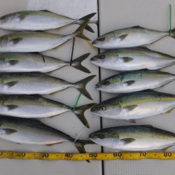 Hit Rush(ヒット ラッシュ） 釣果