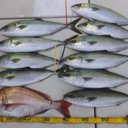 Hit Rush(ヒット ラッシュ） 釣果